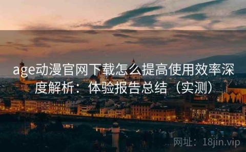 age动漫官网下载怎么提高使用效率深度解析：体验报告总结（实测）