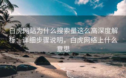 白虎网站为什么搜索量这么高深度解析：详细步骤说明，白虎网络上什么意思