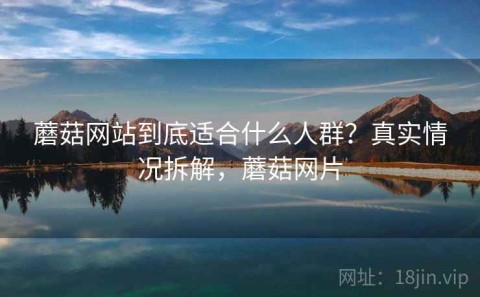 蘑菇网站到底适合什么人群？真实情况拆解，蘑菇网片