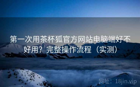 第一次用茶杯狐官方网站电脑端好不好用？完整操作流程（实测）