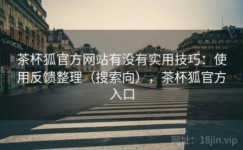 茶杯狐官方网站有没有实用技巧：使用反馈整理（搜索向），茶杯狐官方入口
