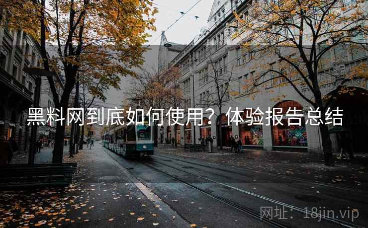 黑料网到底如何使用？体验报告总结