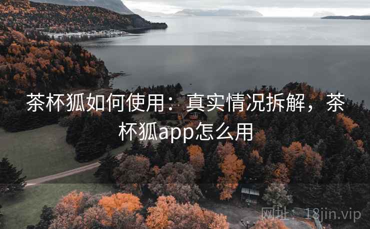 茶杯狐如何使用：真实情况拆解，茶杯狐app怎么用