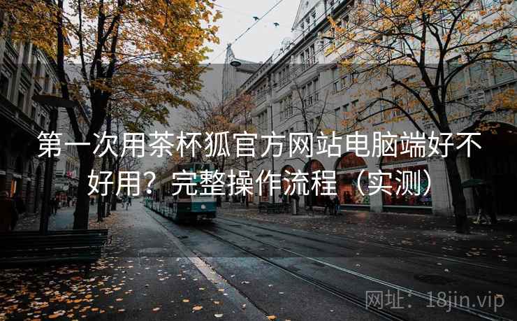 第一次用茶杯狐官方网站电脑端好不好用？完整操作流程（实测）