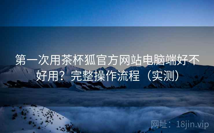 第一次用茶杯狐官方网站电脑端好不好用？完整操作流程（实测）