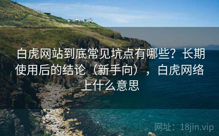 白虎网站到底常见坑点有哪些？长期使用后的结论（新手向），白虎网络上什么意思