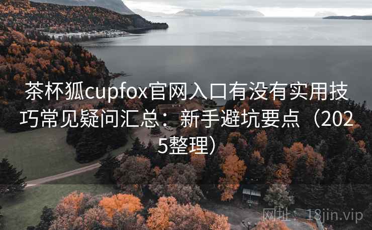 茶杯狐cupfox官网入口有没有实用技巧常见疑问汇总：新手避坑要点（2025整理）