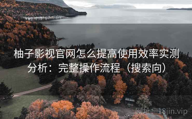 柚子影视官网怎么提高使用效率实测分析：完整操作流程（搜索向）