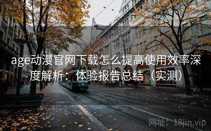 age动漫官网下载怎么提高使用效率深度解析：体验报告总结（实测）