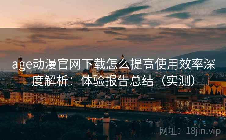 age动漫官网下载怎么提高使用效率深度解析：体验报告总结（实测）