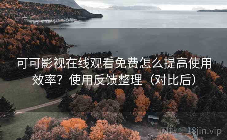 可可影视在线观看免费怎么提高使用效率？使用反馈整理（对比后）